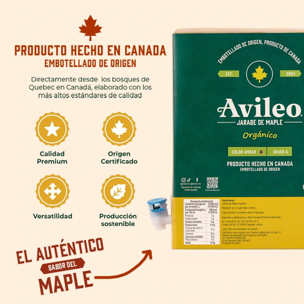 Avileo-1-1024x1024.webp